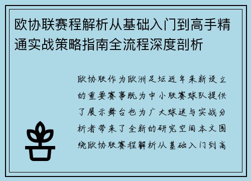 欧协联赛程解析从基础入门到高手精通实战策略指南全流程深度剖析